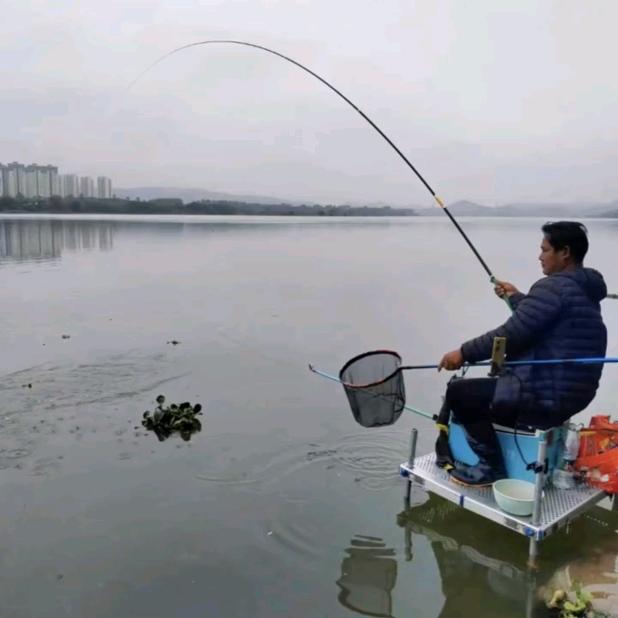 鲮鱼大叔刚子