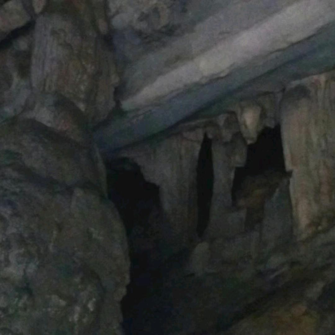 青山常在，对口型