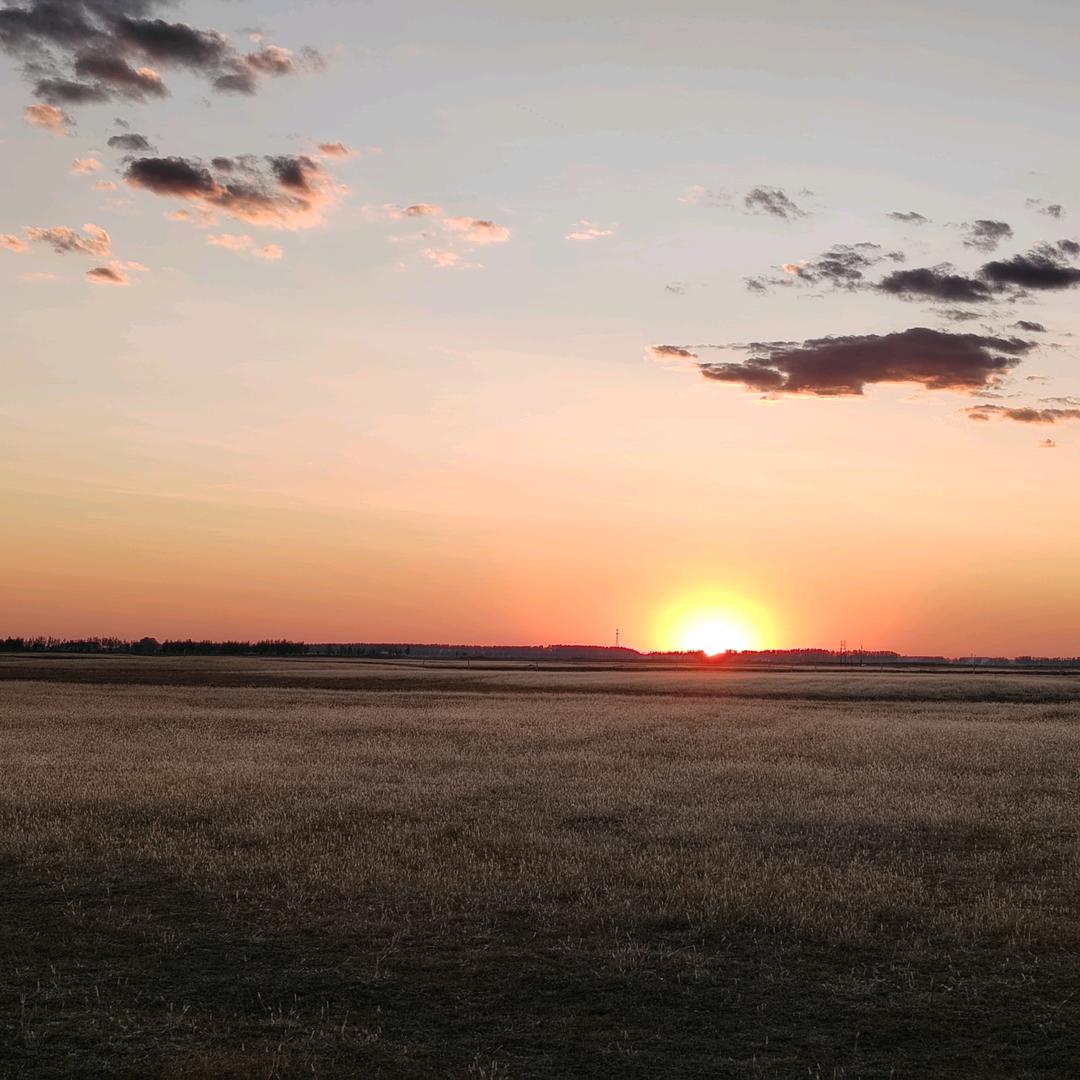 站直溜的，说你呢