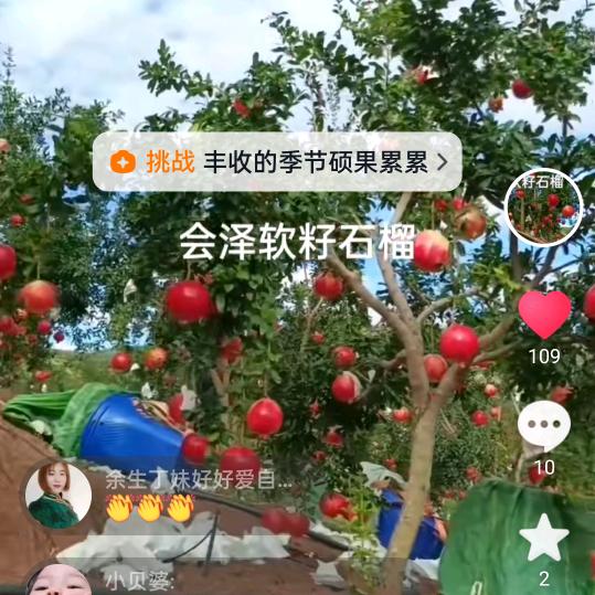 紧喔幸福石榴哥