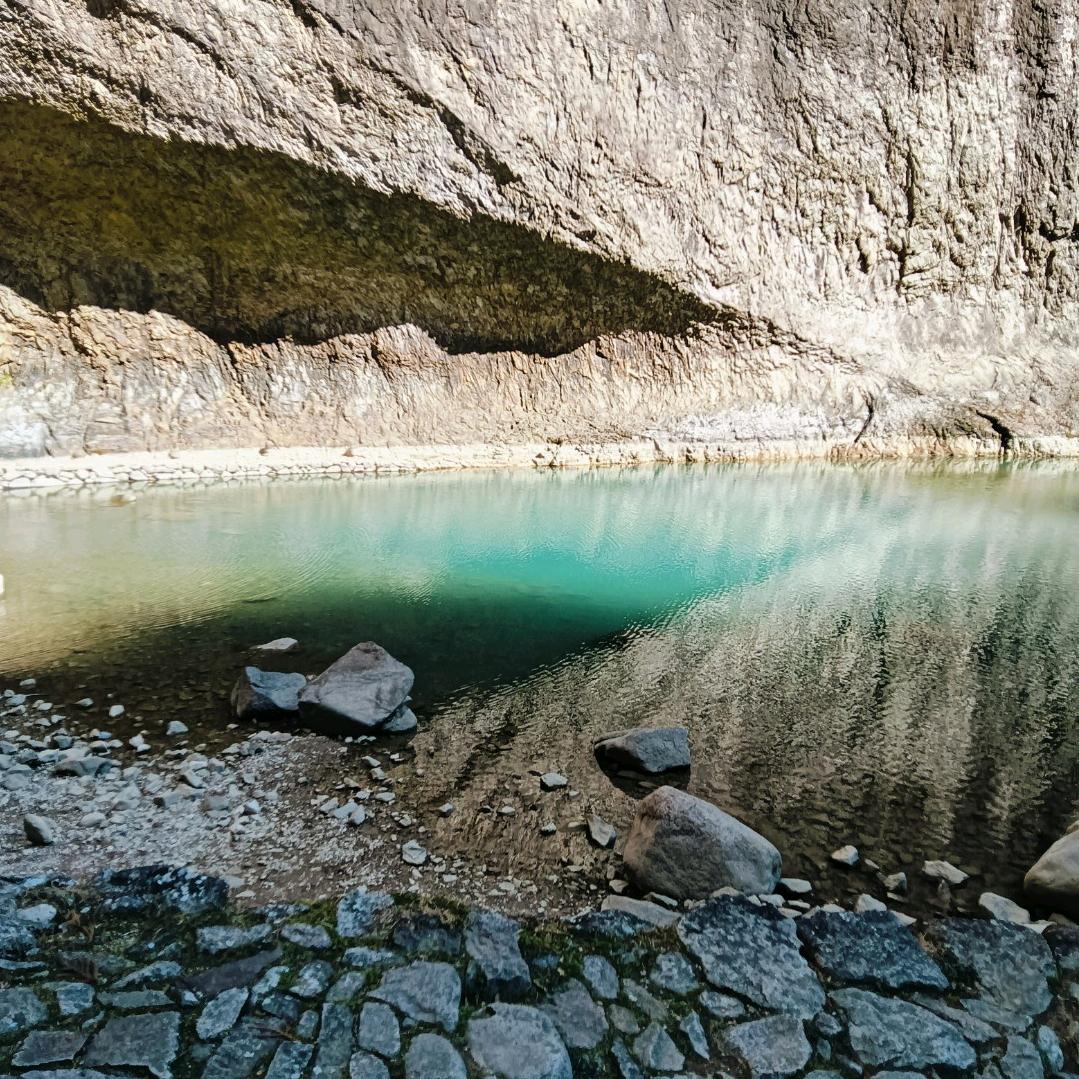 小马（己红温版）