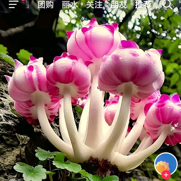 走路带火