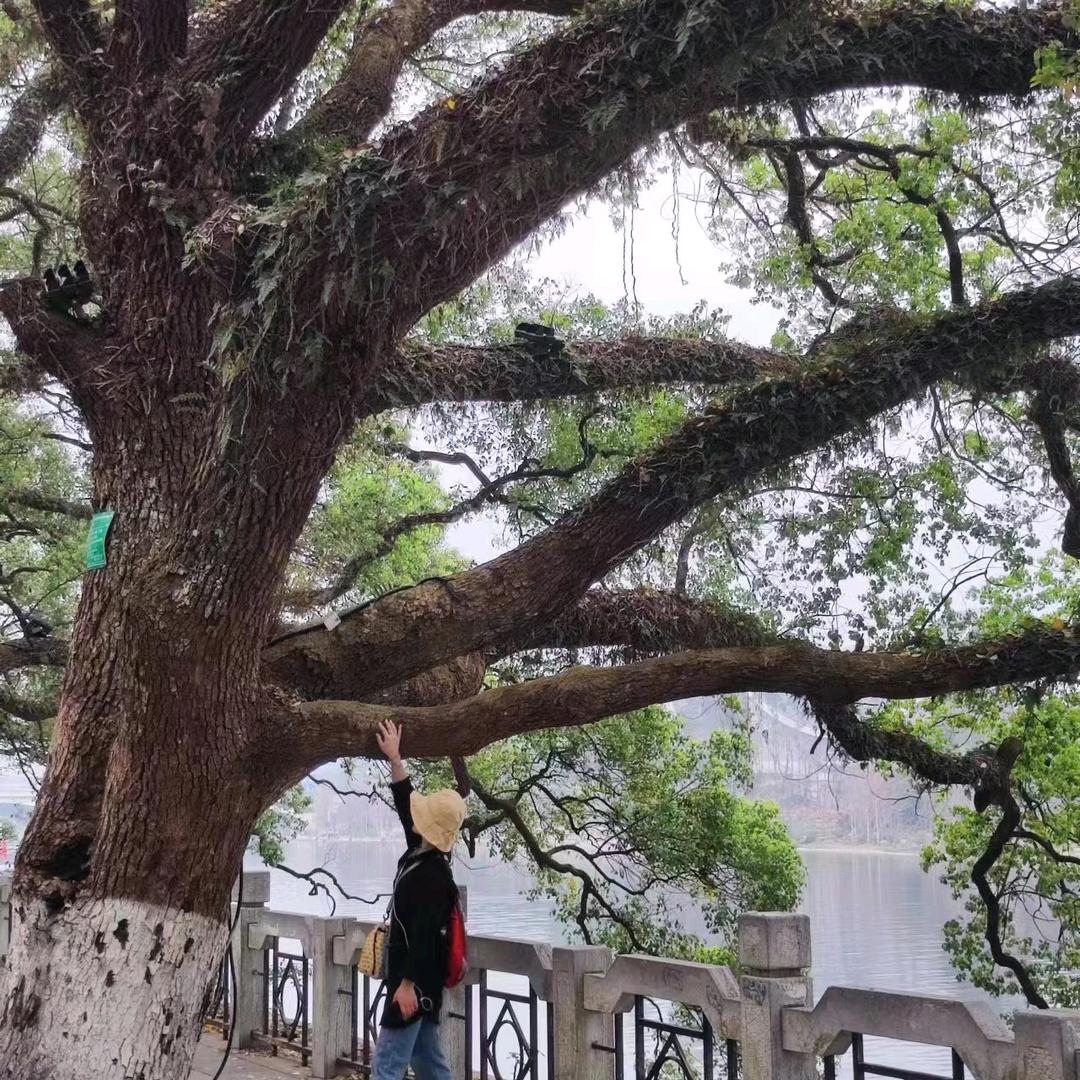 邰小妞出来玩呀