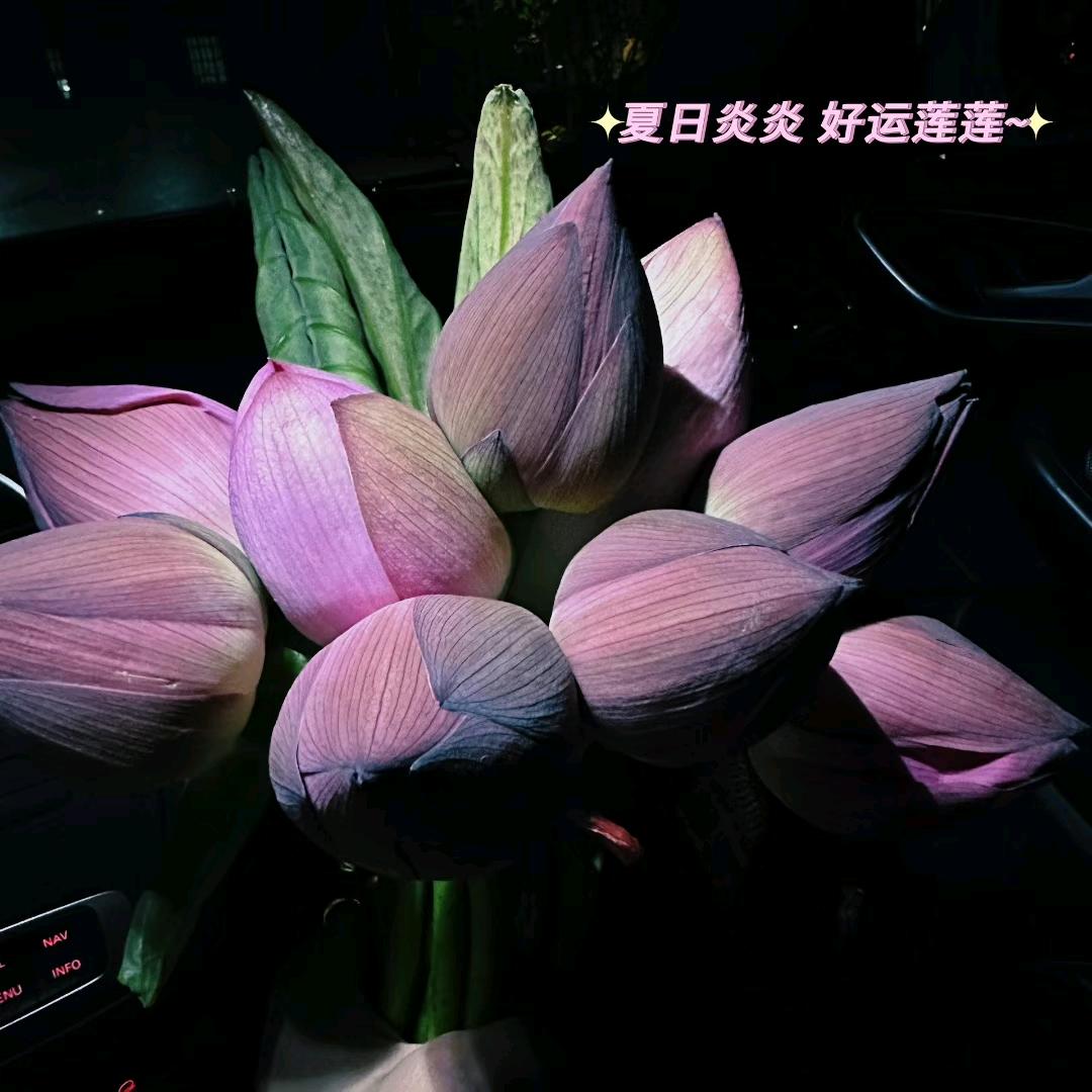 柠檬～咖啡
