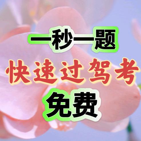 快速过驾考（包必过）