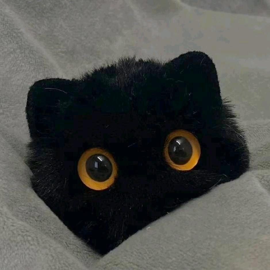 (๑•̌.•̑๑)优雅