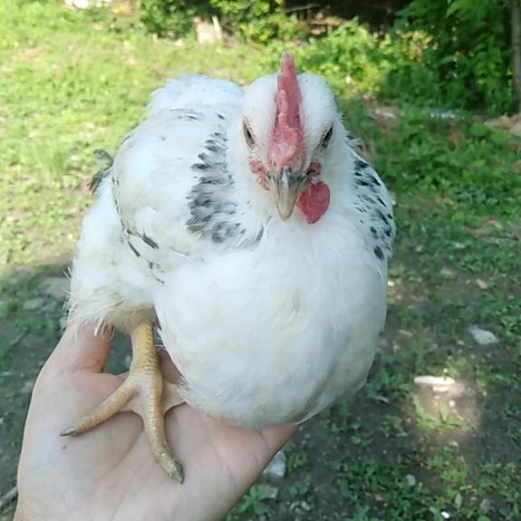 @追梦人(ﾉಥ益ಥ)