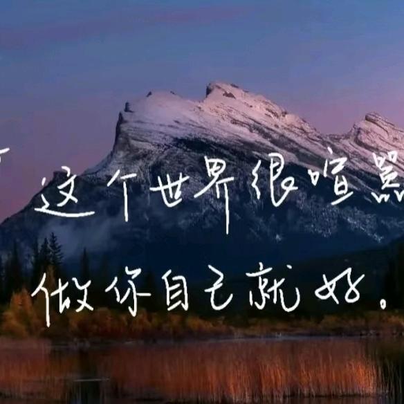 雷司令