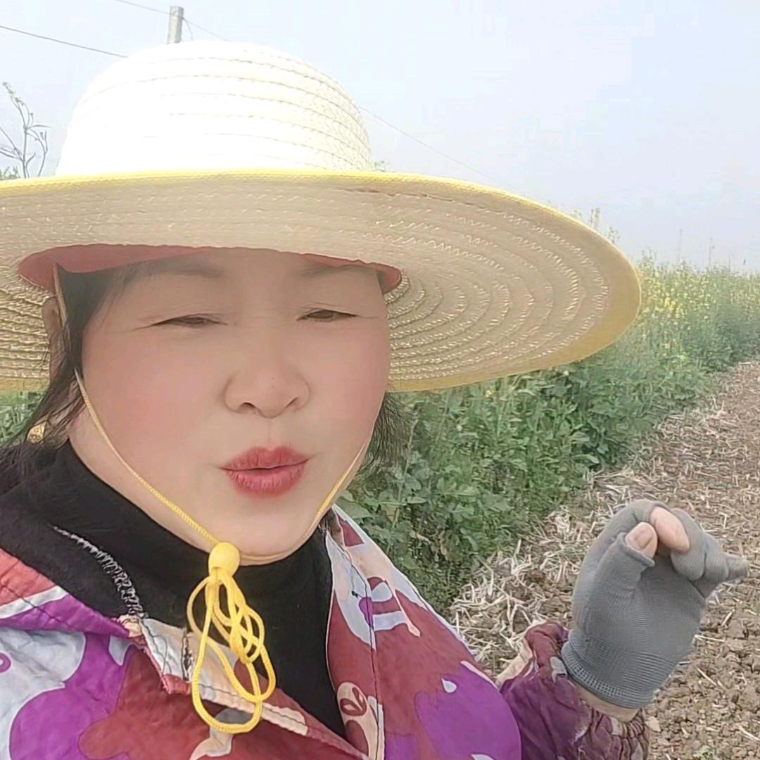 农村萍姐