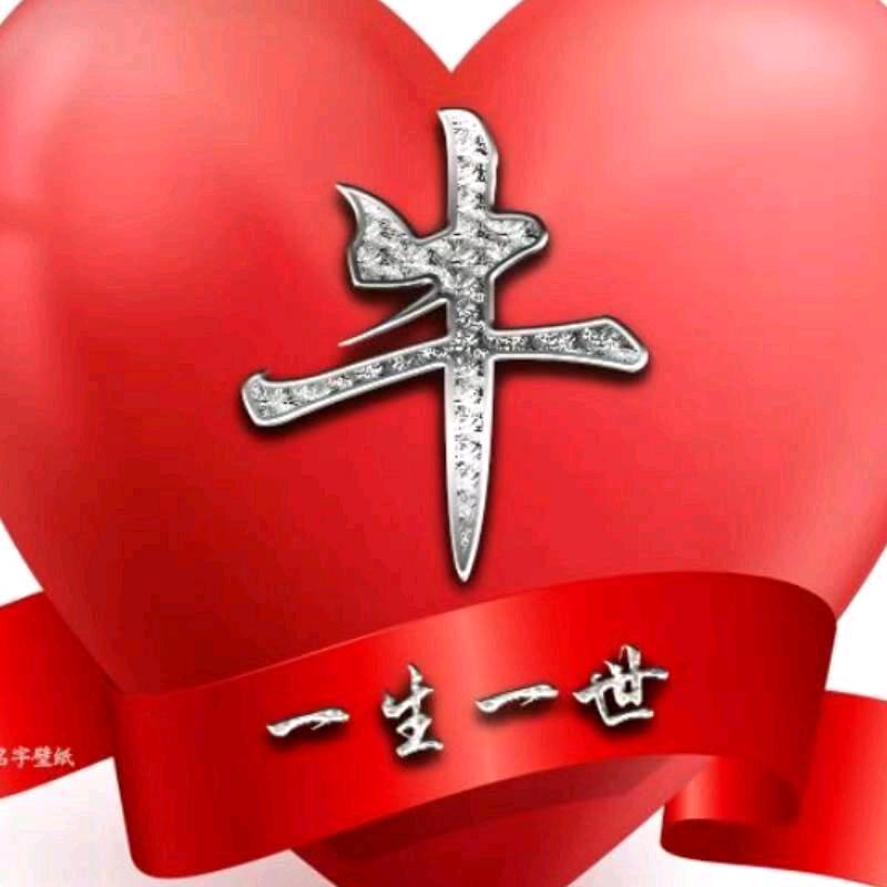 牛鑫