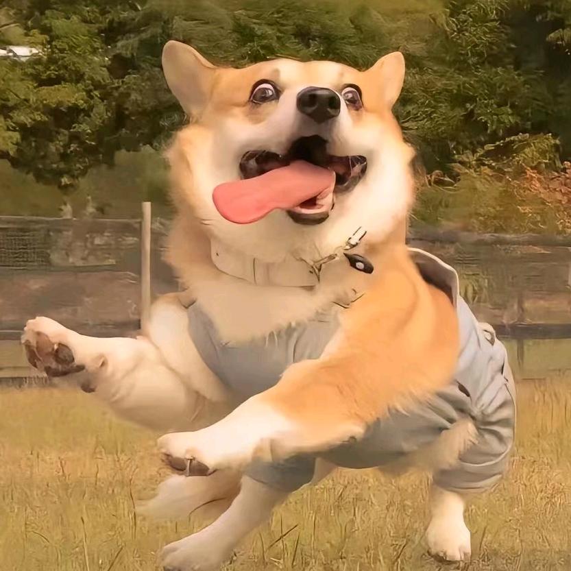老板来碗杂碎面