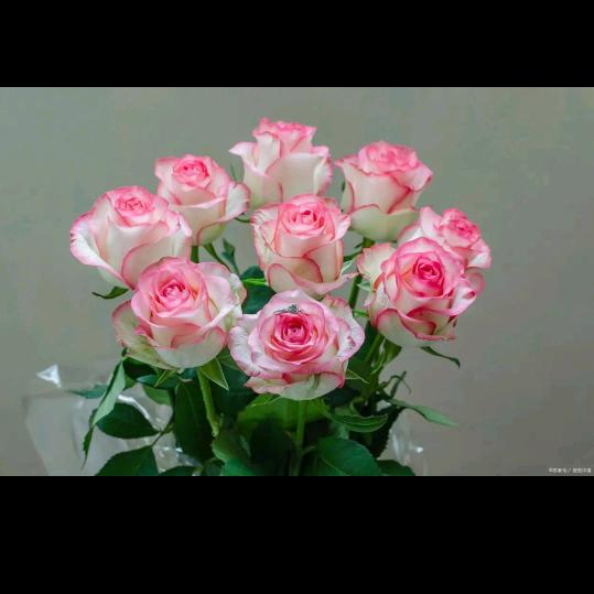 红诚美容美发店官方号