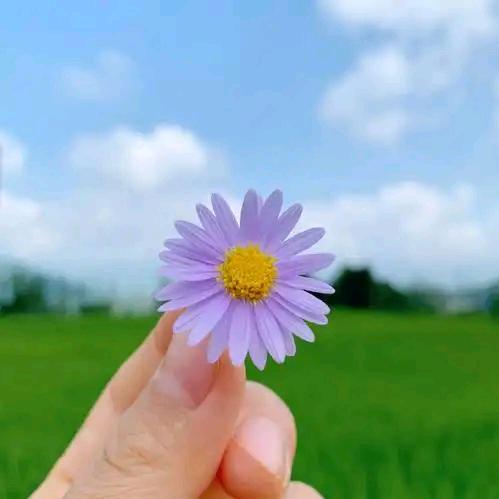开～心🌈🌈🌈