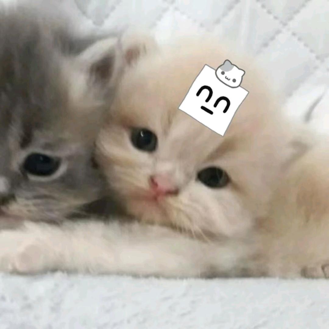 那年冬