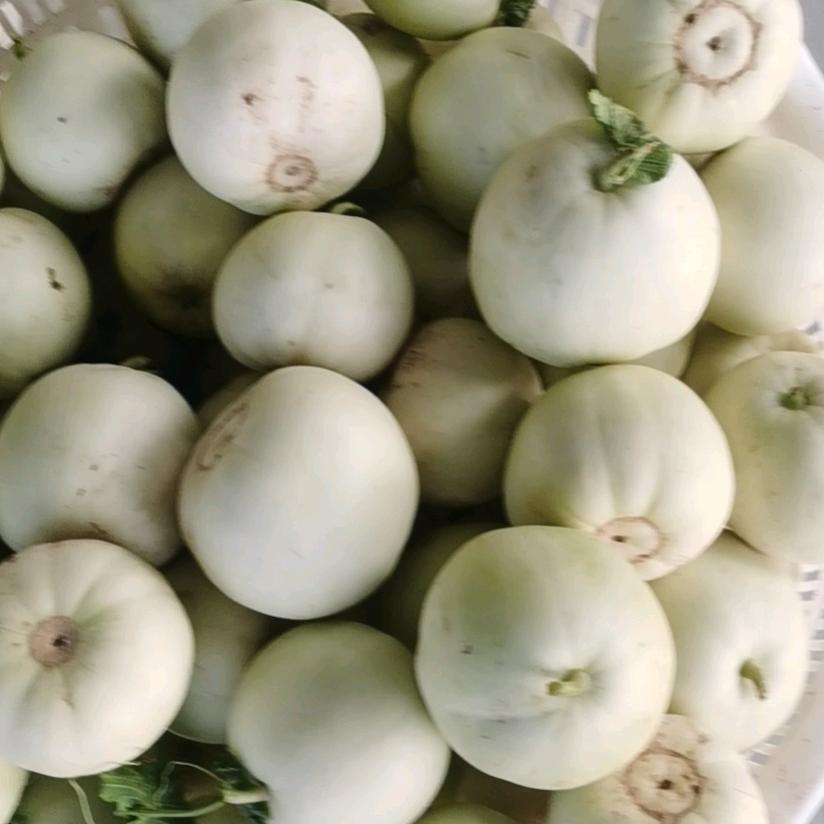 前席村金鹏农资