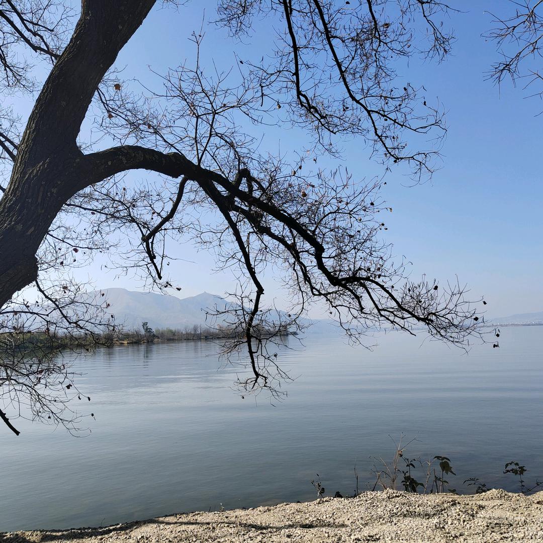 人至乐山乐至人