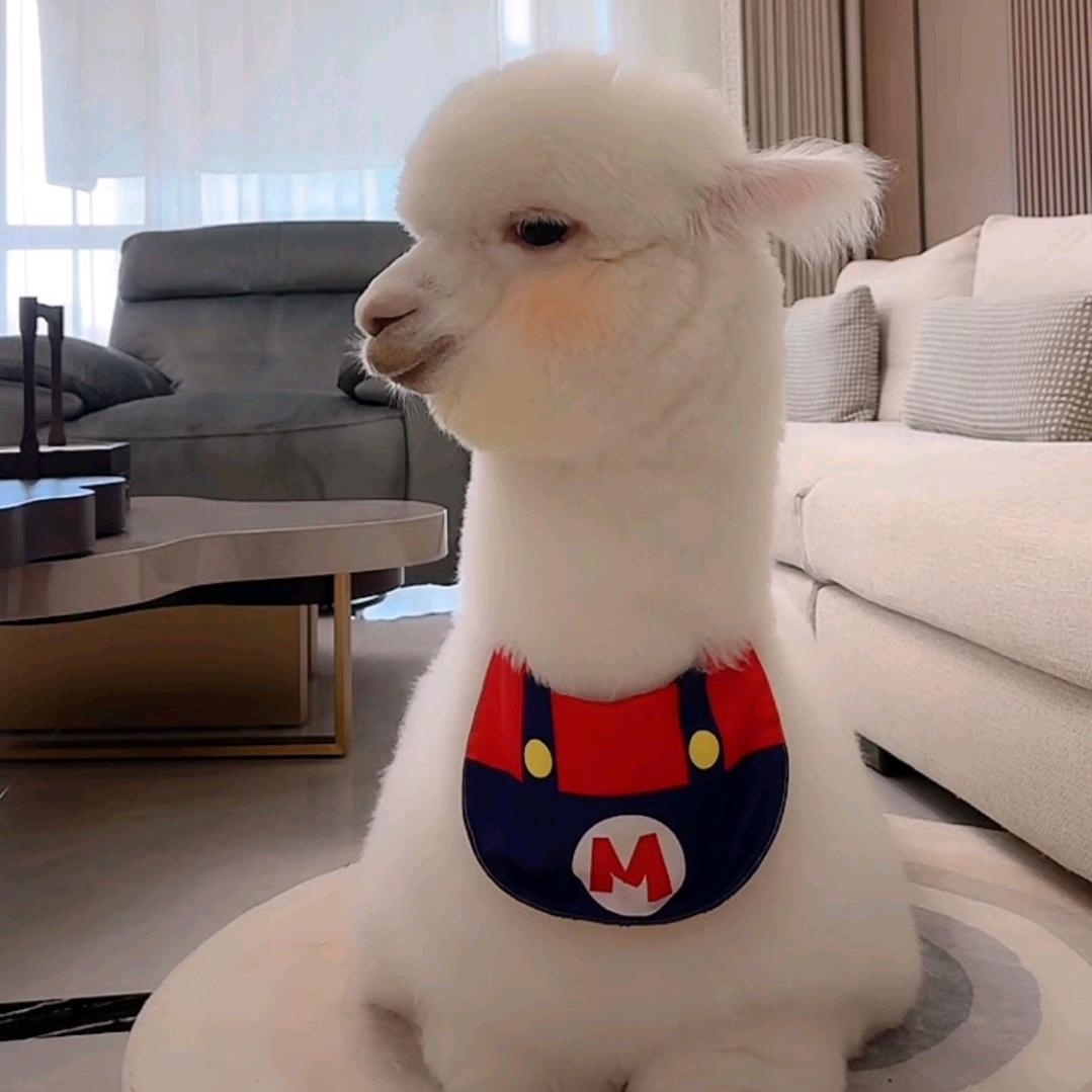 Ma