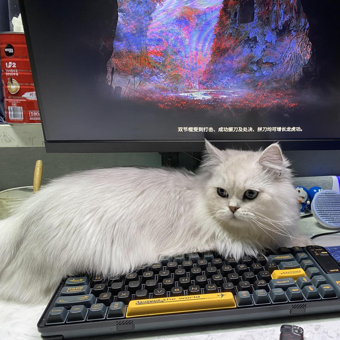 天霸天赐（三角洲行动）