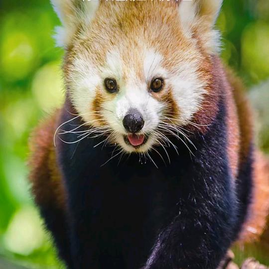 ᰔᩚ₅²⁰᭄风雨💗陈周¹ᶟ₁₄⃝