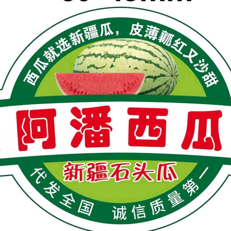 西瓜玩家～阿潘
