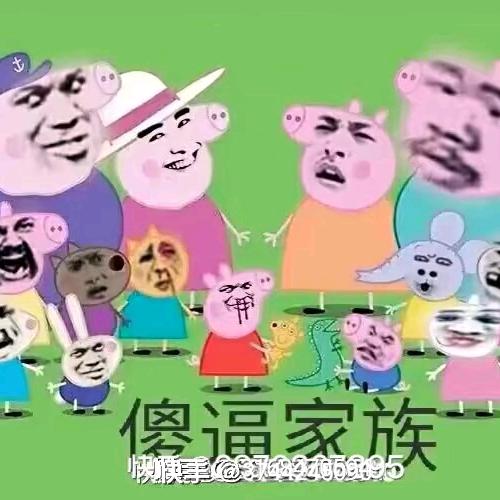 字母哥