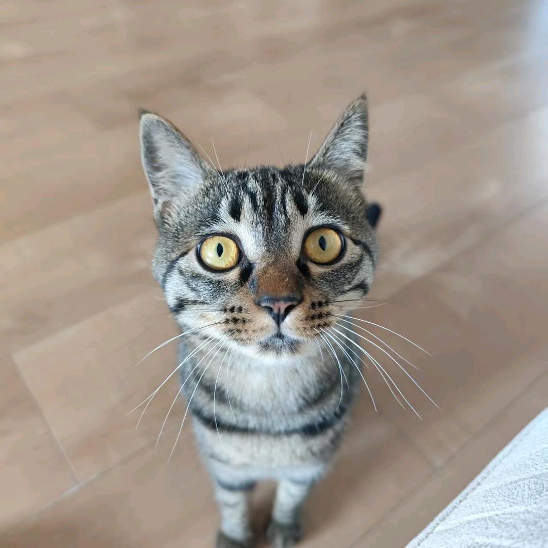 破茧成蝶