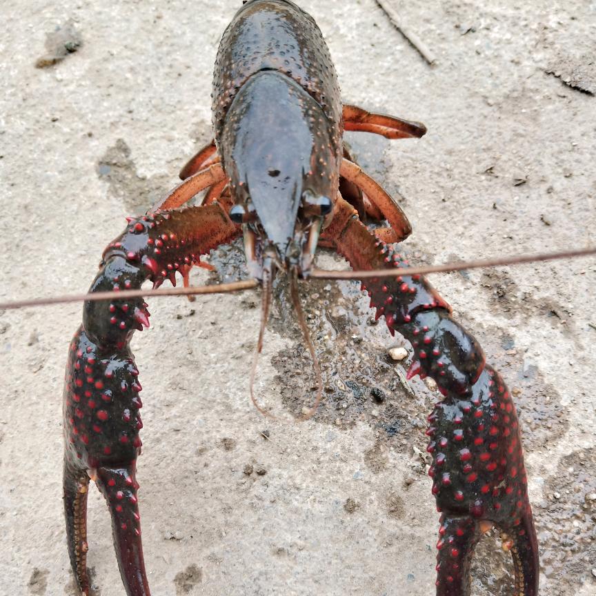 A利民红白喜事一条龙服务