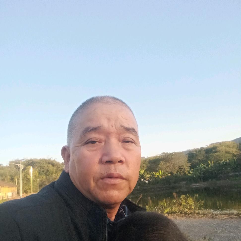 杨杨杨yy