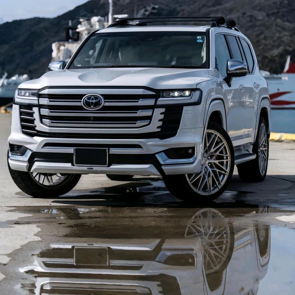 大陆小伙灭洋妞