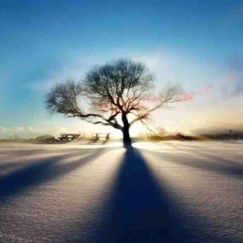 ///。。。，¹²¹