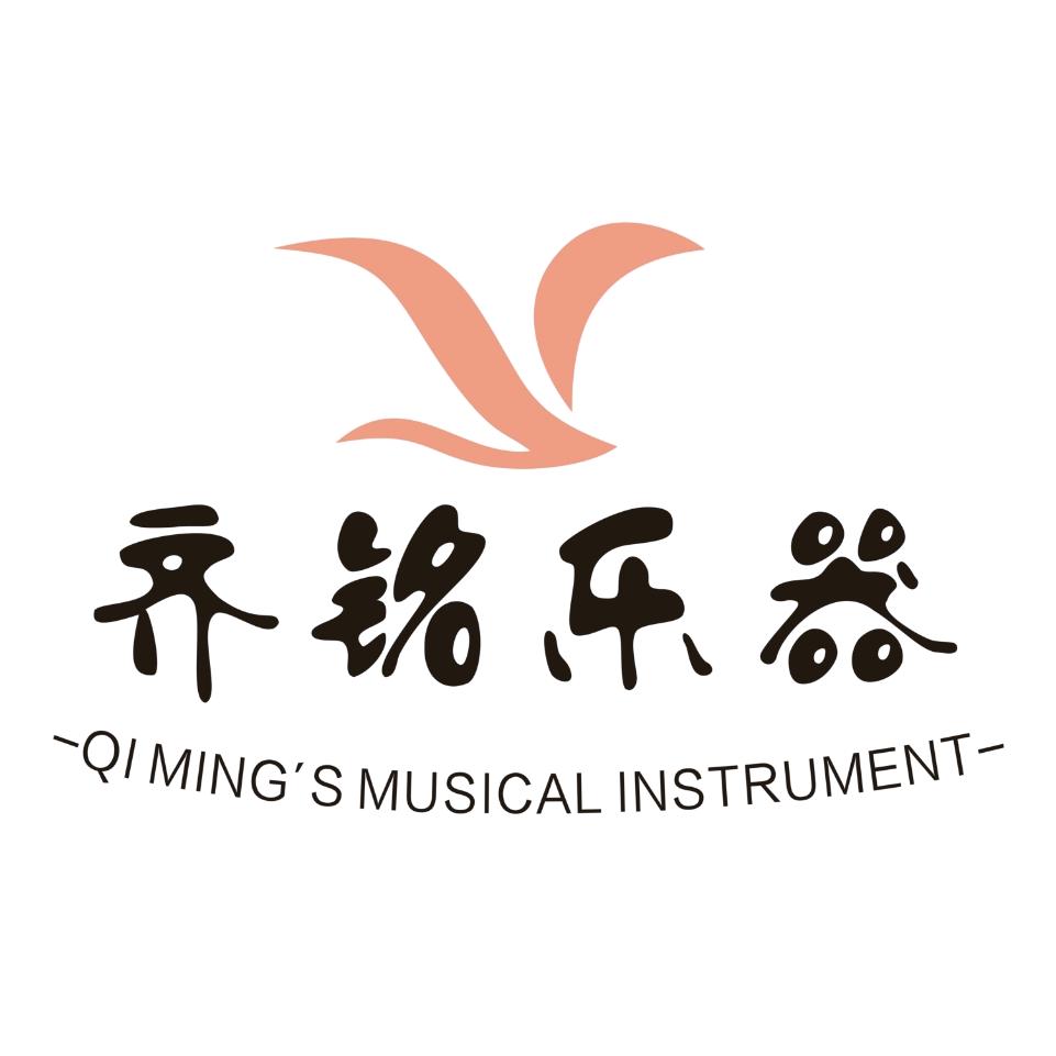 南阳齐铭琴行