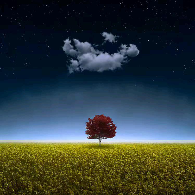 风景旅行家Bre✨