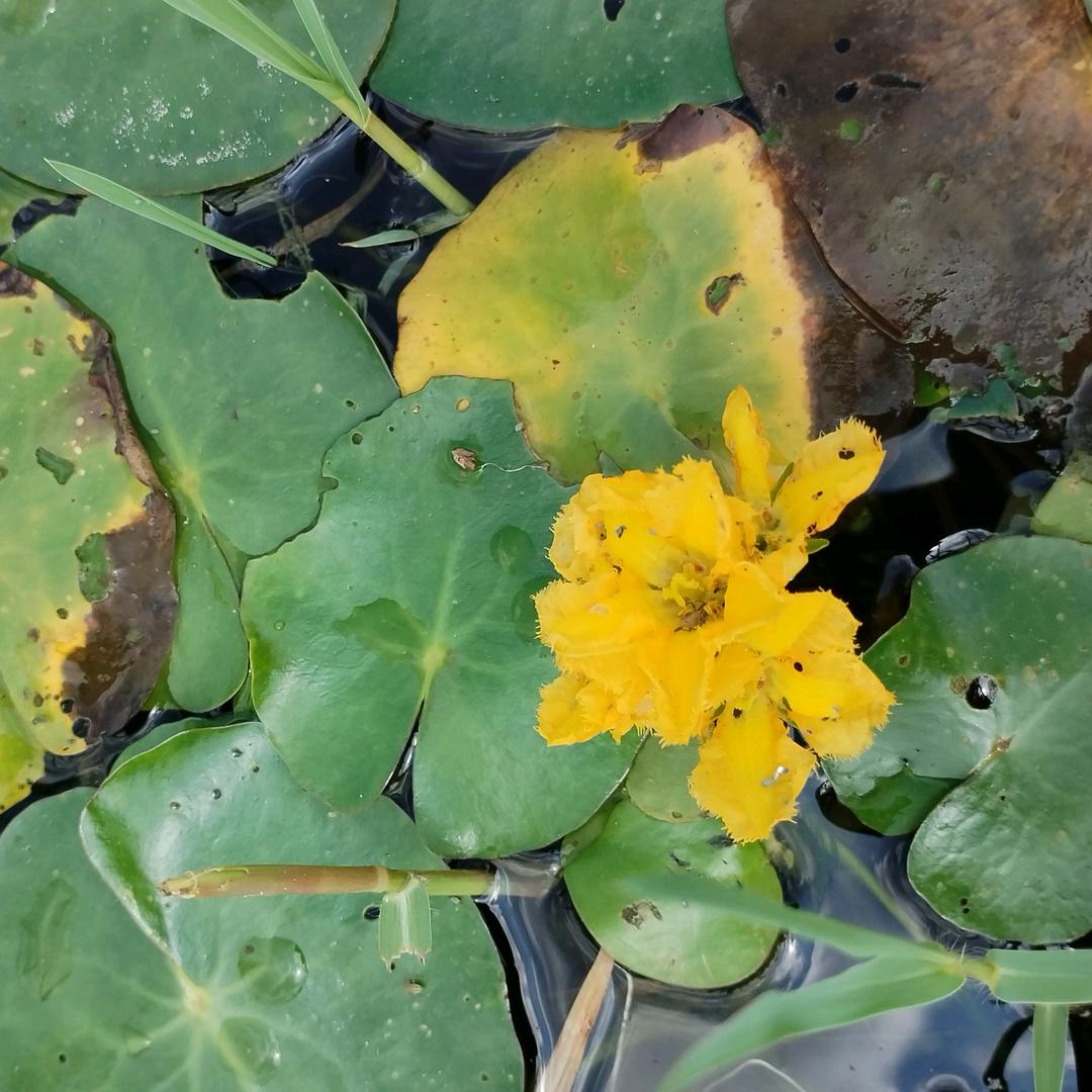 爱无尽头