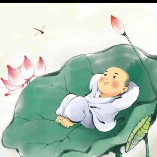 万物🈴❤️