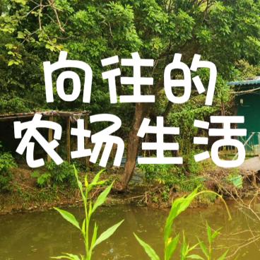 向往的农场生活
