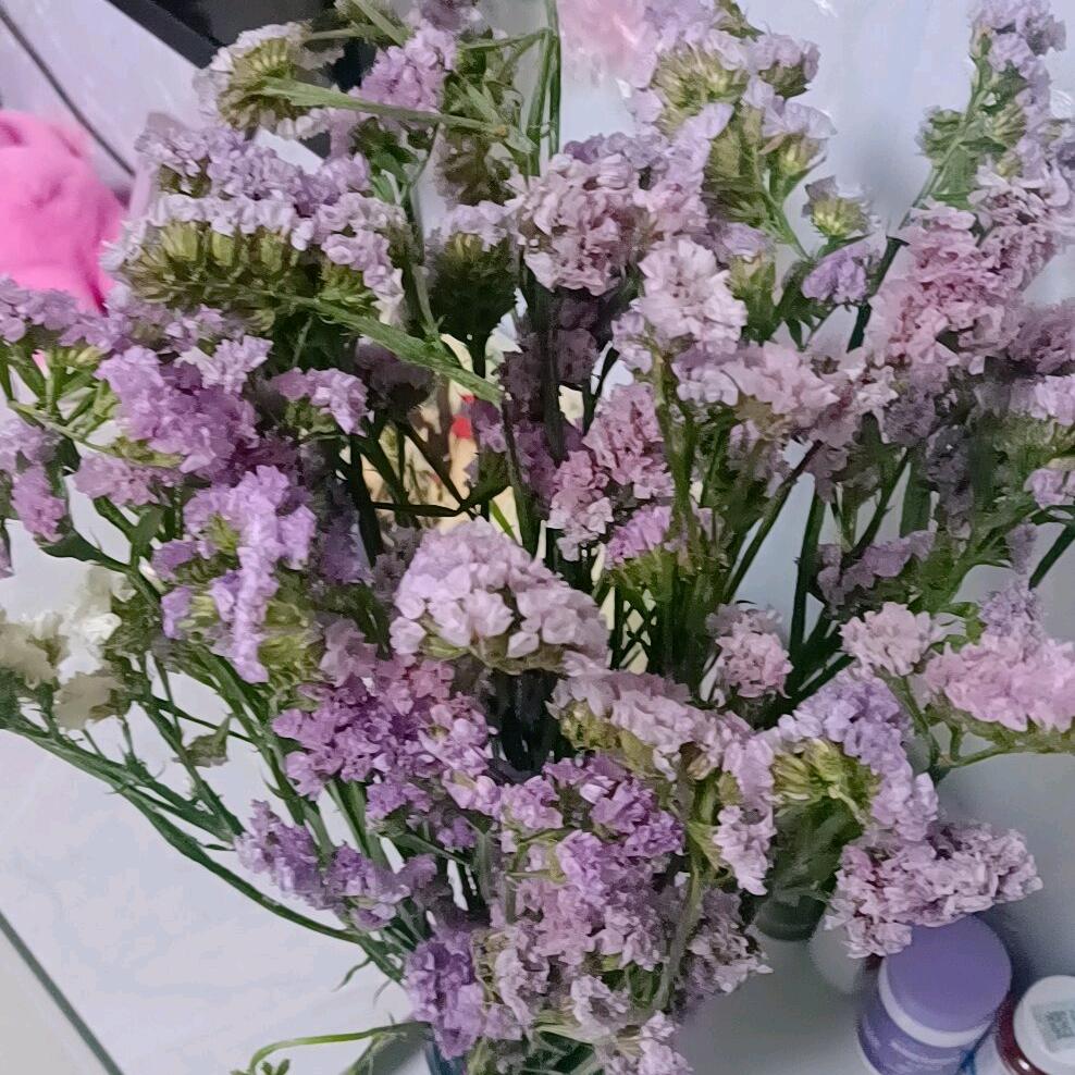 铄铄