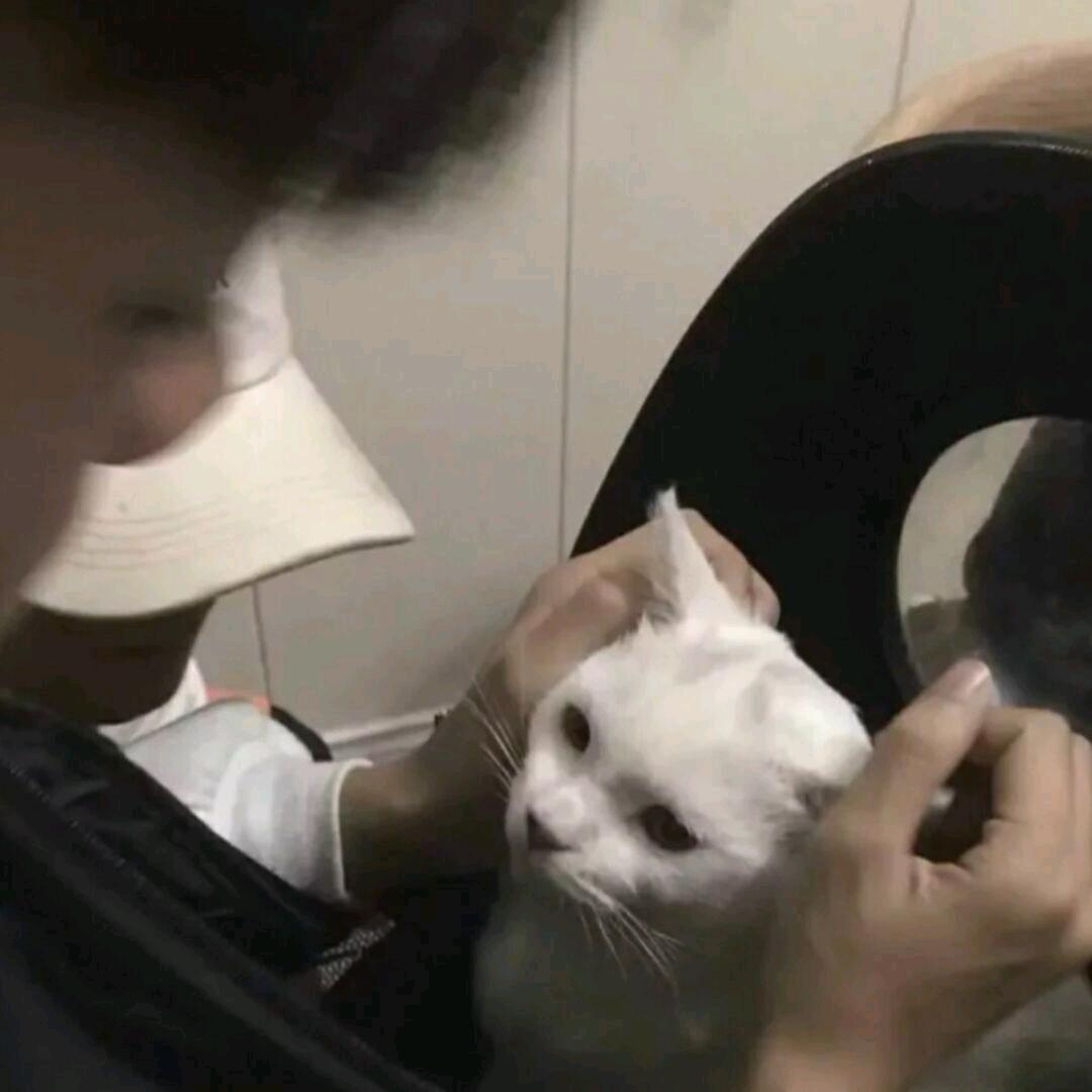 道安