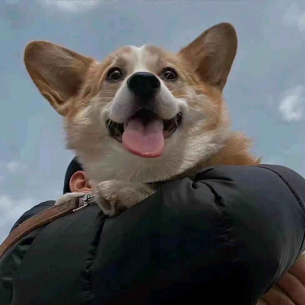 天天爆优选百货