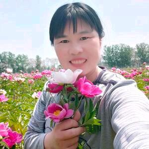 晓娟中药材种植专业合作社