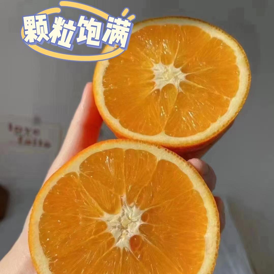 树树生奉节鲜果园
