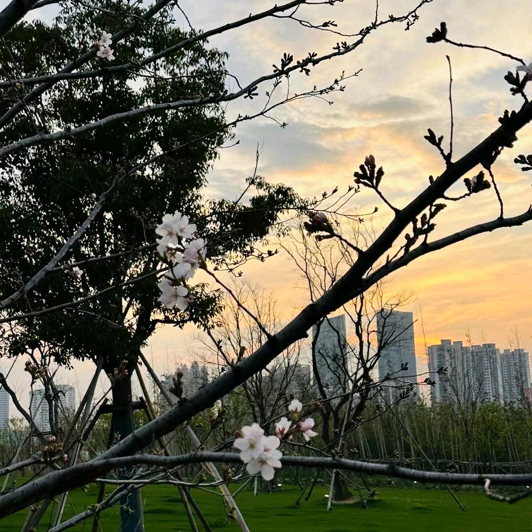 念念不忘，必有回响