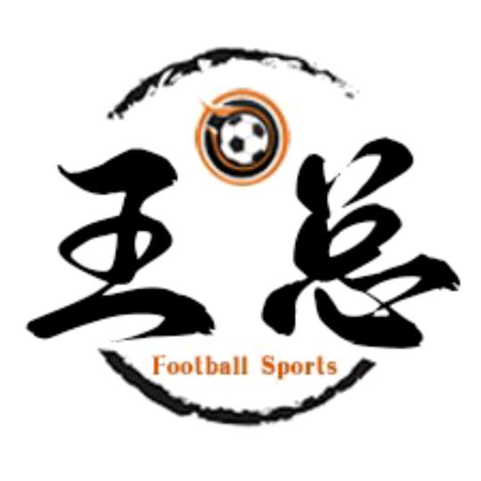 王总侃侃球