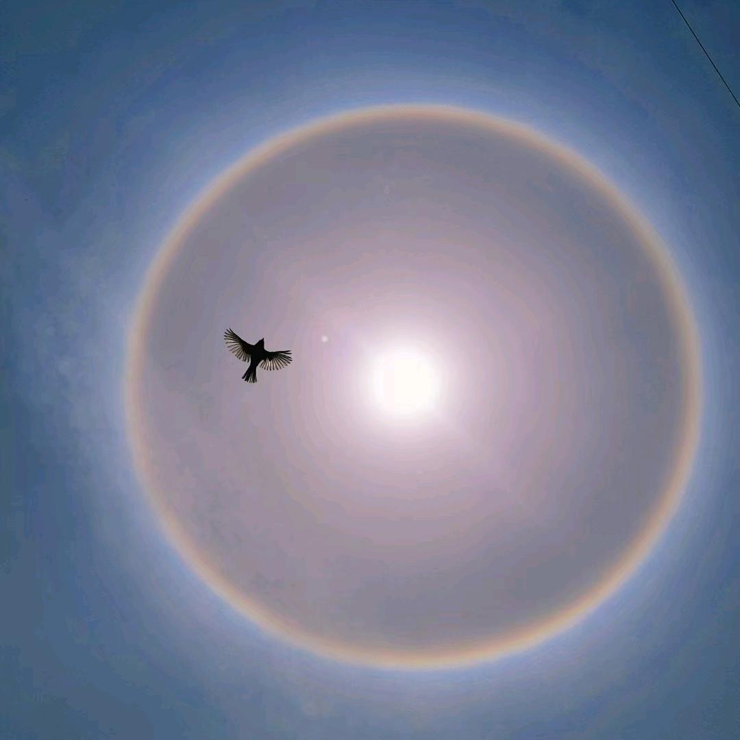 空亦空