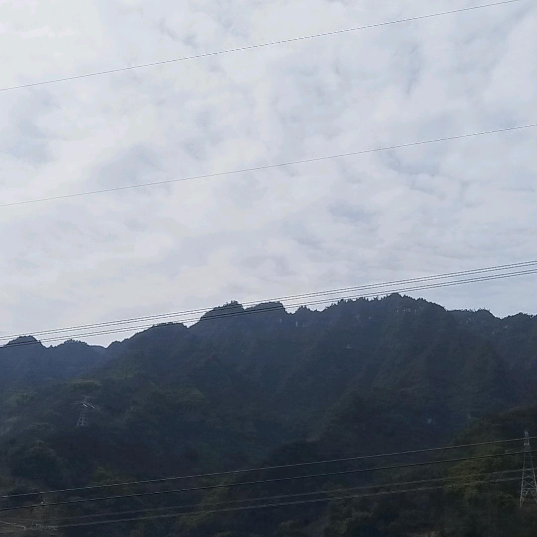 心