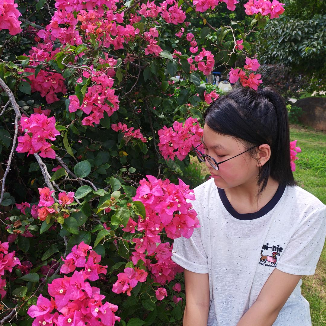 小燕子