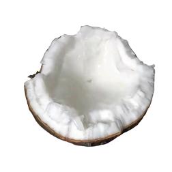 魔丸（小搬运工）