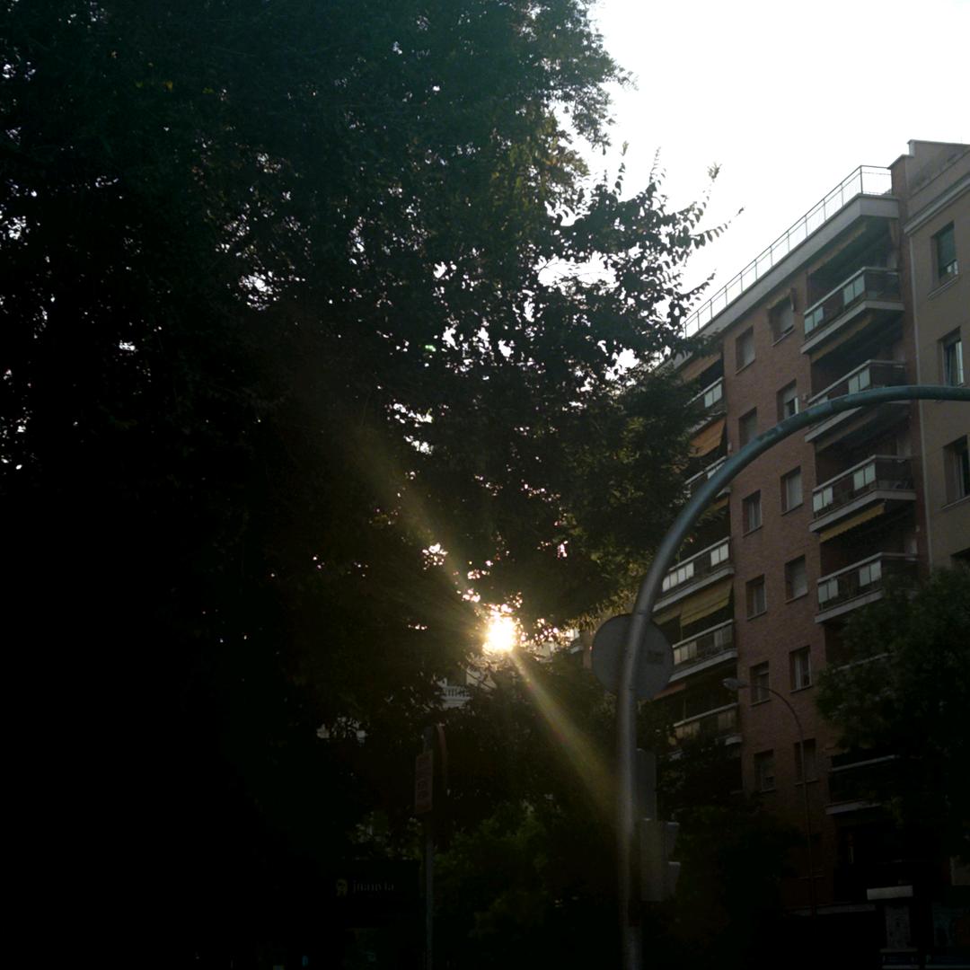 WOONHAK