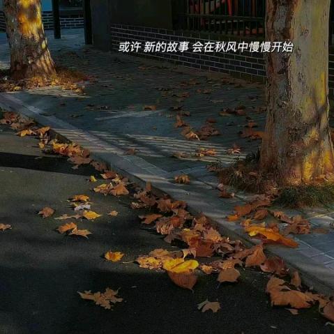 安静的男孩