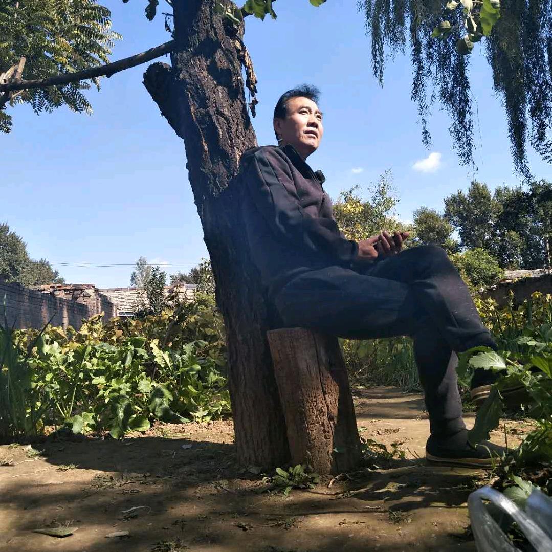 悠见南山