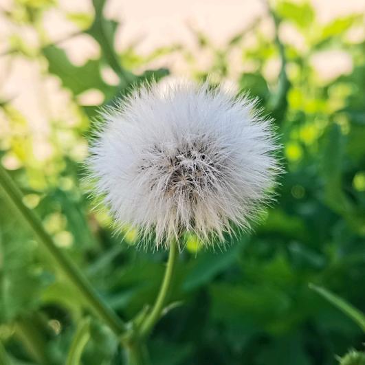 初夏时节